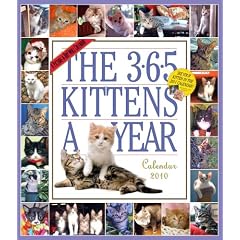 The 365 Kittens a Year 2010 Calendar