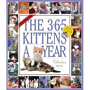 【クリックで詳細表示】The 365 Kittens a Year 2010 Calendar (Picture-A-Day Wall Calendars) [カレンダー]