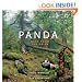 Panda: Back from the Brink