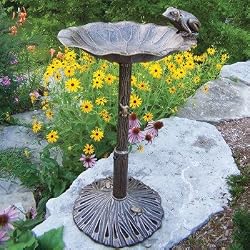 Oakland Living 5012AB Antique Bronze Frog Design Aluminum Birdbath