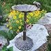 Oakland Living 5012AB Antique Bronze Frog Design Aluminum Birdbath