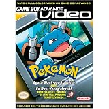 Pokemon Beach Blank-Out Blastoise and Go West Young Meowth