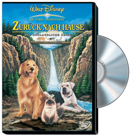Childrens Toyshop  DVD : Zurück nach Hause - Die unglaubliche Reise