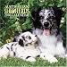 Australian Shepherds 2006 Calendar