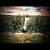 Jucifer - Fleur de Lis