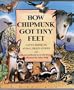 How Chipmunk Got Tiny Feet: Native American Animal Origin Stories