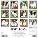 2016 Just Papillons Wall Calendar