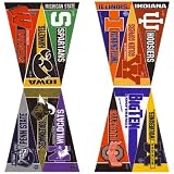 Big 10 Conference Mini Pennant Set