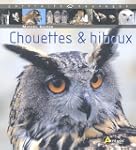 Chouettes & hiboux