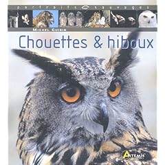 Chouettes & hiboux