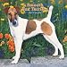 Smooth Fox Terriers 2007 Calendar