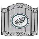 Philadelphia Eagles Fireplace Screen