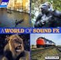 A World Of Sound Fx