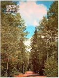 Arizona Highways, June 1950 (Springerville; Grand Canyon Mules; Blue River)