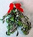 ALLO Botanicals Mistletoe - 1 Large Bundle - 8 to 12 Inches - Fresh, Real, All Natural