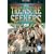 The Treasure Seekers