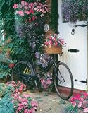 Ravensburger Puzzle - The Cottage Door Puzzle (500 pieces)