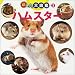 超はっけん大図鑑〈2〉ハムスター (超はっけん大図鑑 (2))