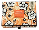 Michel Design Works Orange Blossom Soap Set, 9-Ounce Packages