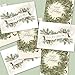 Holiday Foliage Holiday Card Assortment - Set of 36 (2 designs) versed, foil embossed cards with white envelopes
