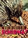What on Earth Is an Echidna?
