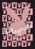 Playboy Playmate (3d) - Lenticular Poster - 50cm x 70cm