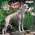 Whippet 2007 Wall Calendar