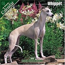Whippet 2007 Wall Calendar