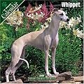 Whippet 2007 Wall Calendar