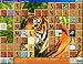 Wild Animals