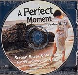 Perfect Moment By Steve Hanks (Jewel Case)