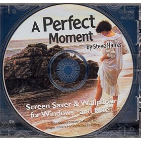 Perfect Moment By Steve Hanks (Jewel Case)