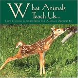 What Animals Teach Us: Life's Lessons Learned From the Animals Around Us