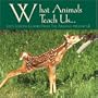 What Animals Teach Us: Life's Lessons Learned from the Animals Around Us