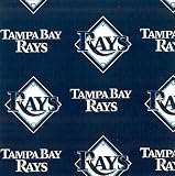 MLB Tampa Bay Rays Baseball Print Fleece Fabric By the Yard