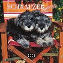 Schnauzer Puppies 2007 Mini Calendar
