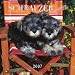 schnauzer42 - Schnauzer Puppies 2007 Mini Calendar