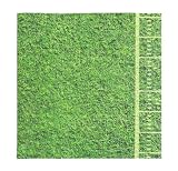 Football Party Napkins