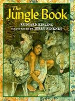 Book cover of