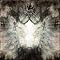 Some of the best metal albums I could listen in 2010