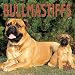 Bullmastiffs 2001 Calendar