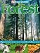 Forest (Eye Wonder) Forest (Eye Wonder)