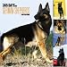 365 Days of German Shepherds 2006 Calendar