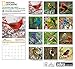 Backyard Birds National Geographic 2016 Wall Calendar