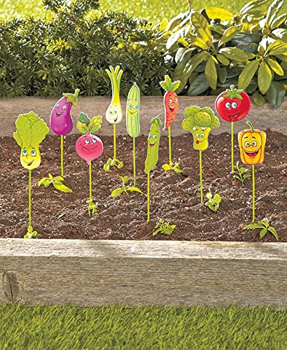 Set of 10 Vegetable Garden Markers | eBay