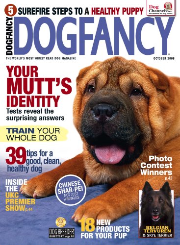 Dog Fancy (1-year)