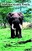 African Game Trails (Paperback)