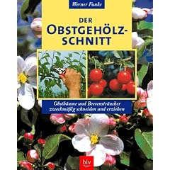 Der Obstgeh�lzschnitt