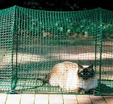Kittywalk Lawn Version
