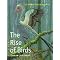 Book - Dinosaurs: Dino-Birds